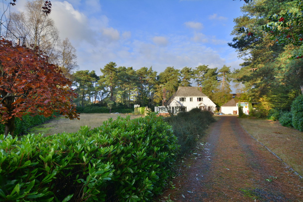 Davids Lane, Ashley, Ringwood Edwards Estate Agents