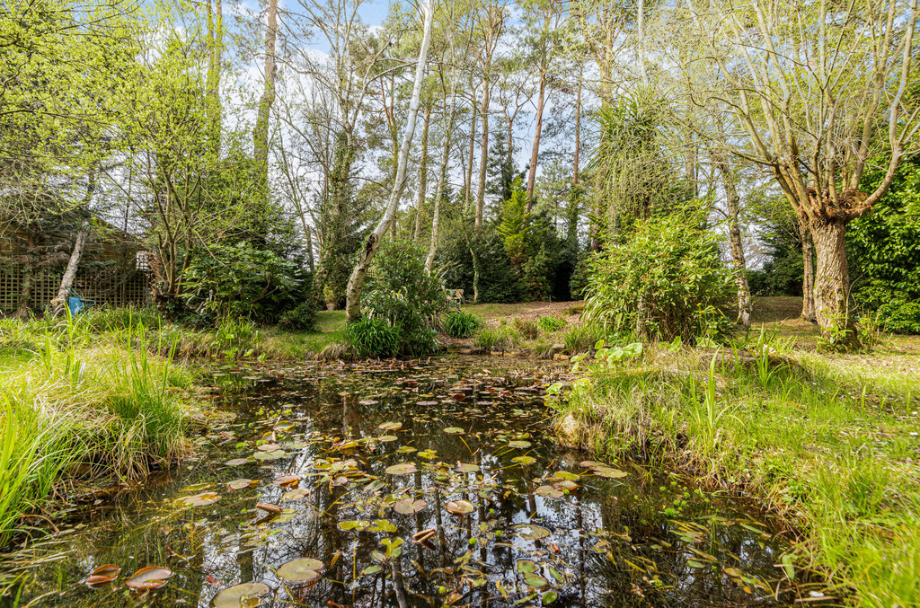 Horton Road, Ashley Heath, Ringwood Edwards Estate Agents