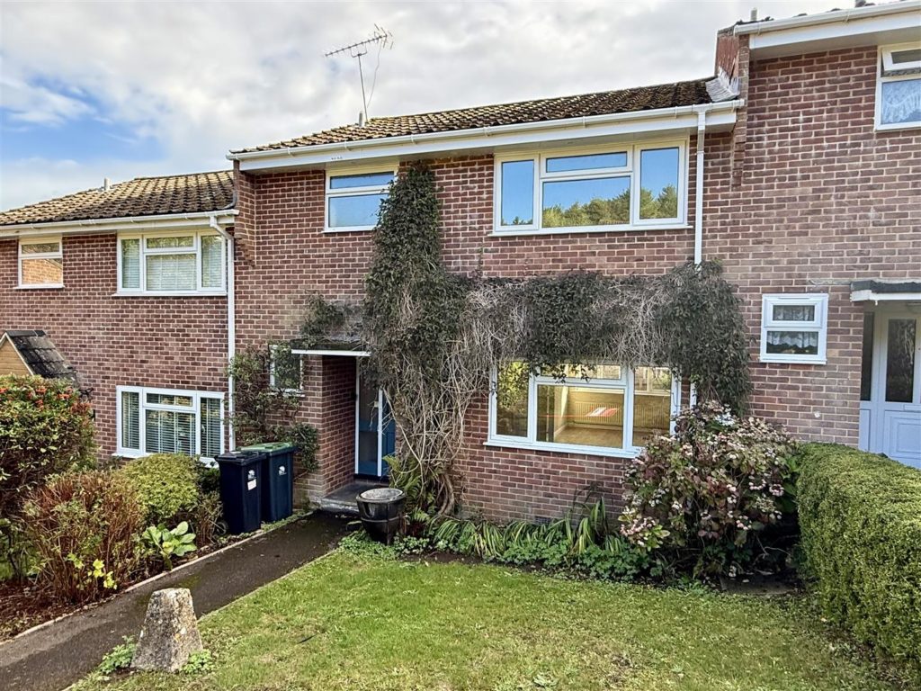 Halter Rise, Wimborne