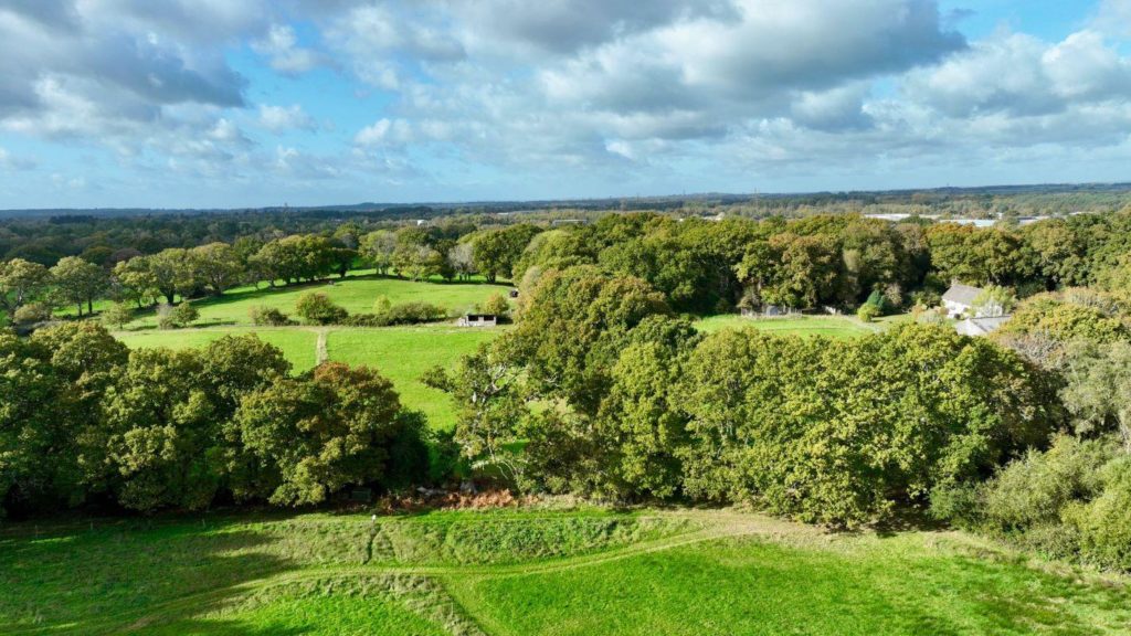 Lions Hill Way, Ashley Heath, Ringwood